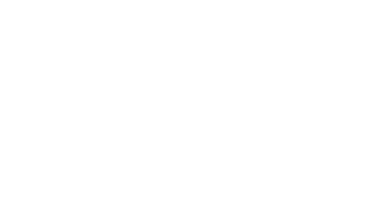 The original Vitamin Brows method