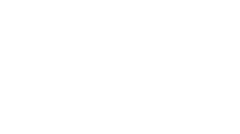 Trusted by 300+ professionals